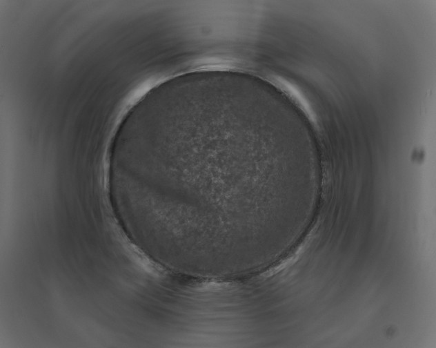X0000094441419200711211446
