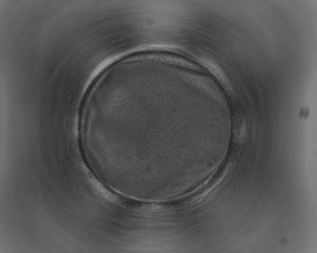 X0000094441420200711211446