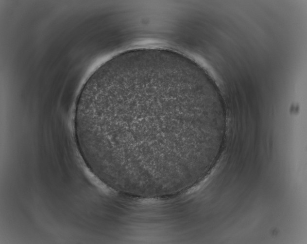 X0000094441421200711211446