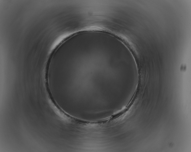 X0000094441422200711211446