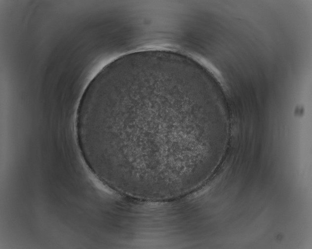 X0000094441423200711211446