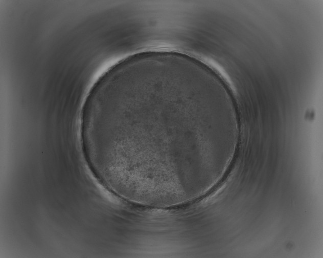X0000094441424200711211446