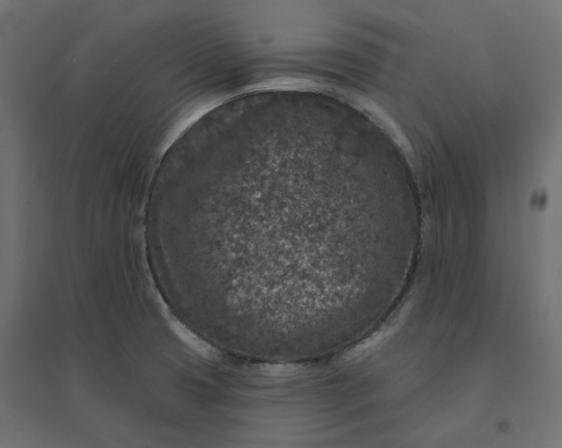X0000094441425200711211446