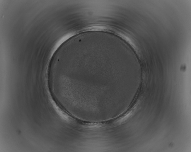 X0000094441426200711211446