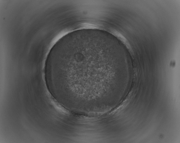 X0000094441427200711211446