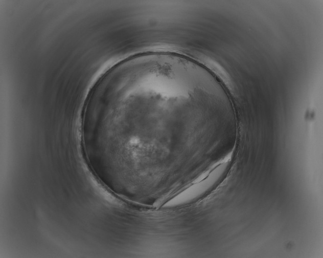 X0000094441428200711211446