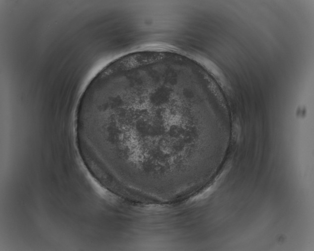 X0000094441430200711211446