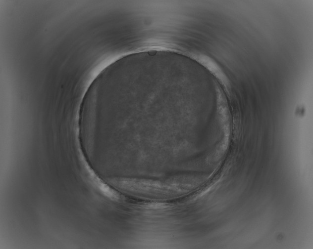 X0000094441431200711211446