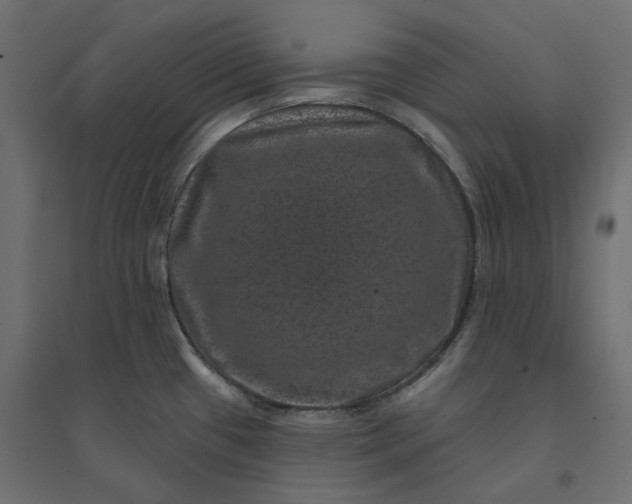 X0000094441433200711211446