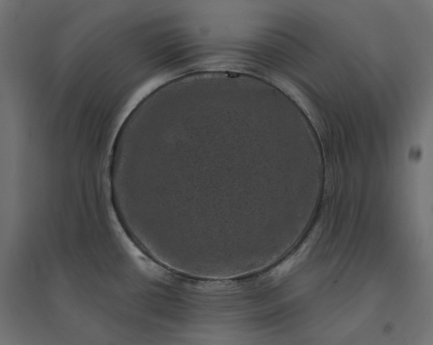 X0000094441434200711211446