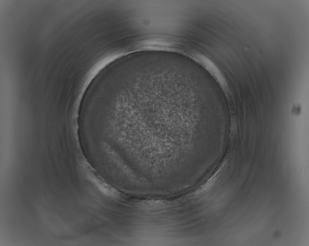 X0000094441435200711211446