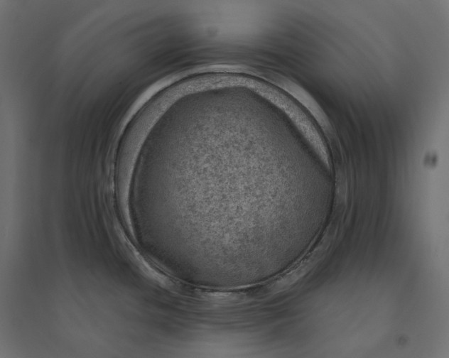 X0000094441436200711211446