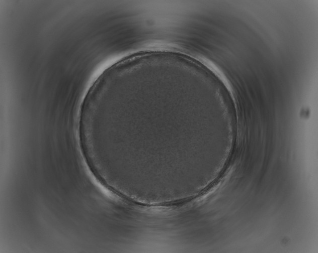 X0000094441437200711211446