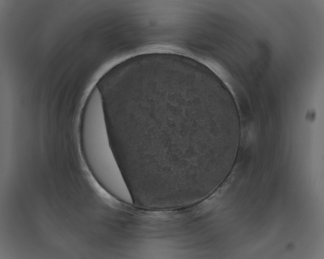 X0000094441438200711211446