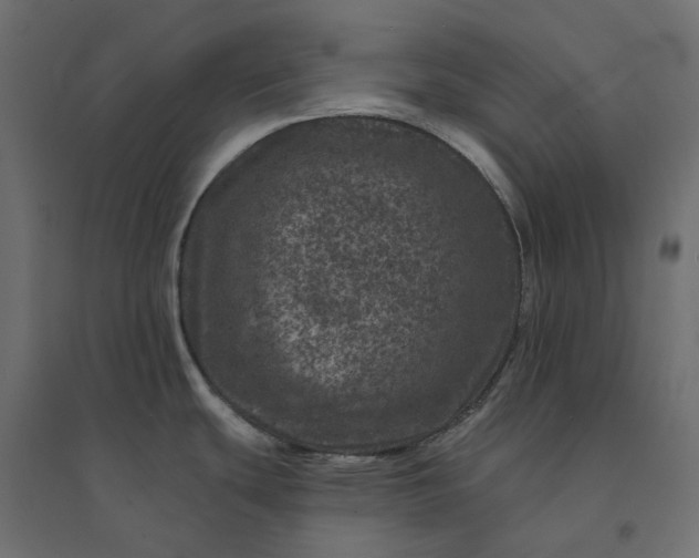 X0000094441439200711211446