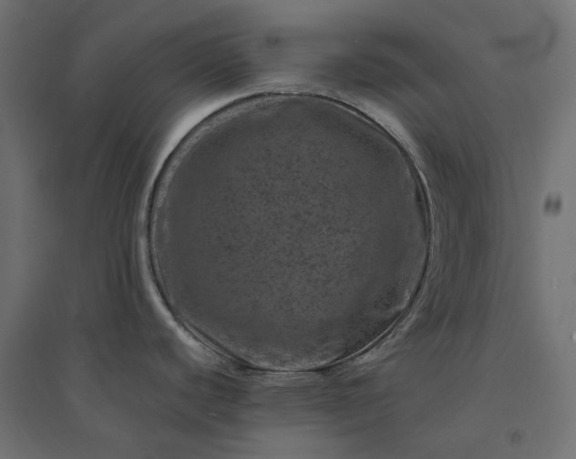 X0000094441440200711211446