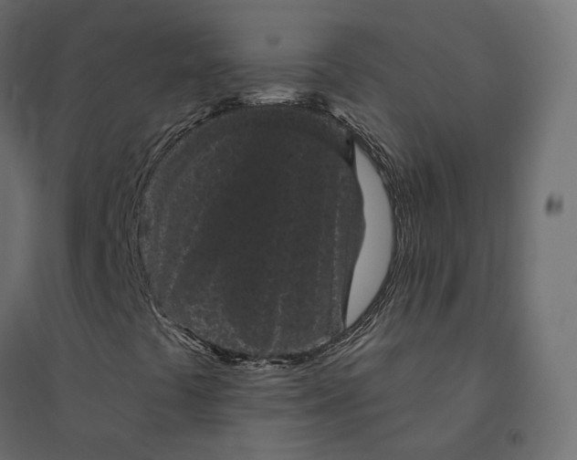 X0000094441441200711211445