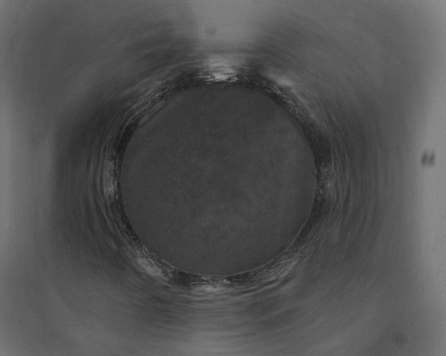 X0000094441442200711211445