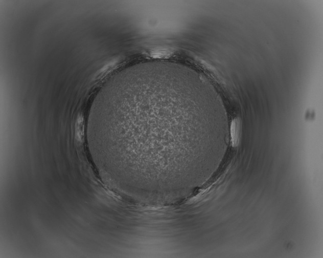 X0000094441443200711211445