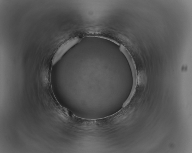 X0000094441444200711211445