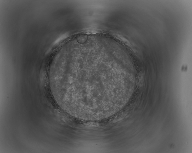 X0000094441446200711211445