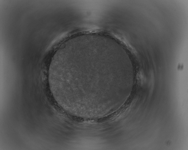X0000094441447200711211445