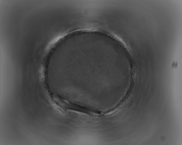 X0000094441448200711211445