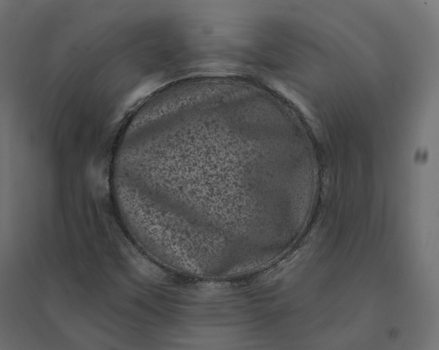X0000094441451200711211445