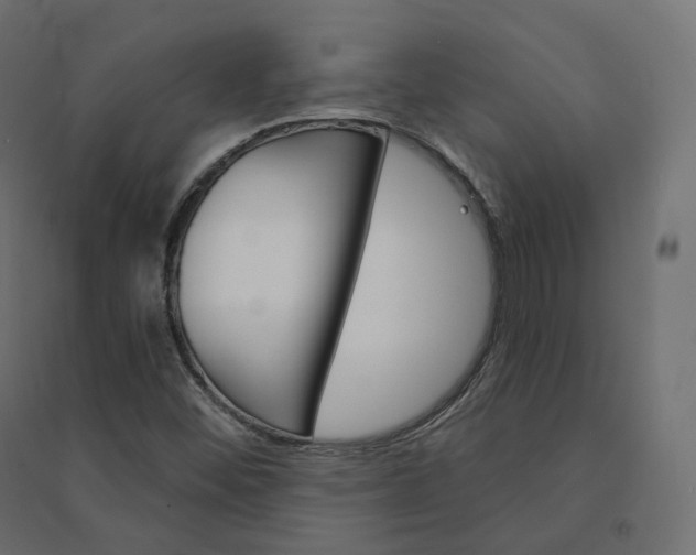 X0000094441452200711211445