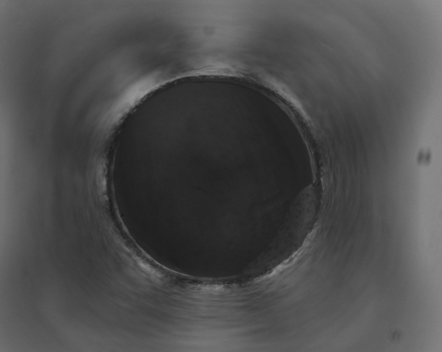 X0000094441455200711211445