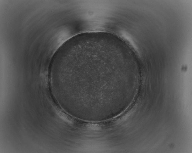 X0000094441457200711211445
