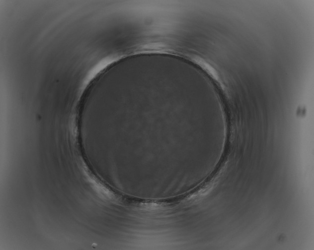 X0000094441458200711211445