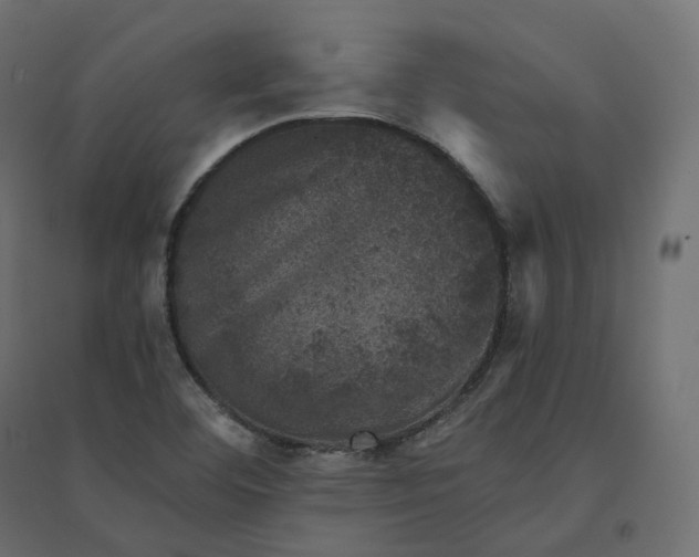 X0000094441460200711211445