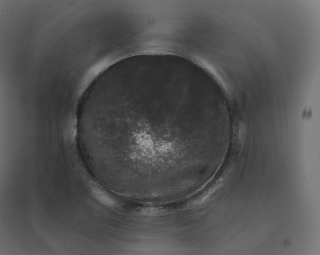 X0000094441461200711211445