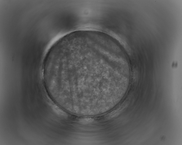 X0000094441462200711211445