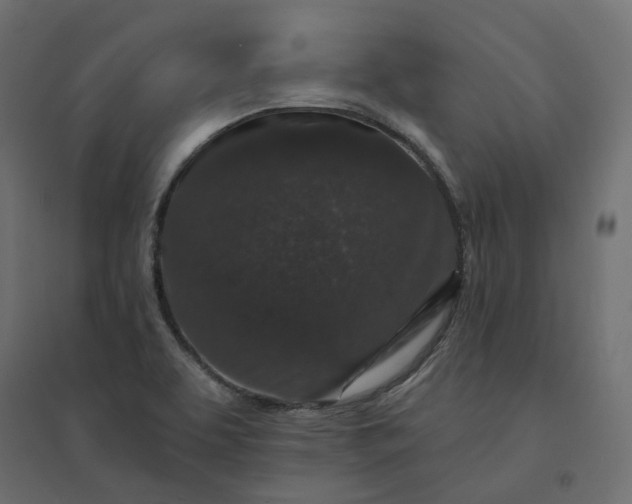 X0000094441463200711211445