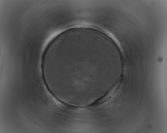 X0000094441464200711211445