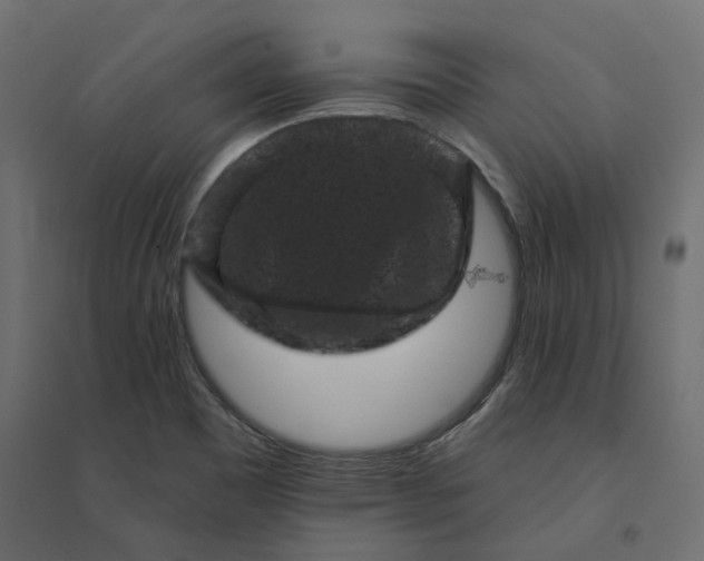 X0000094441465200711211445