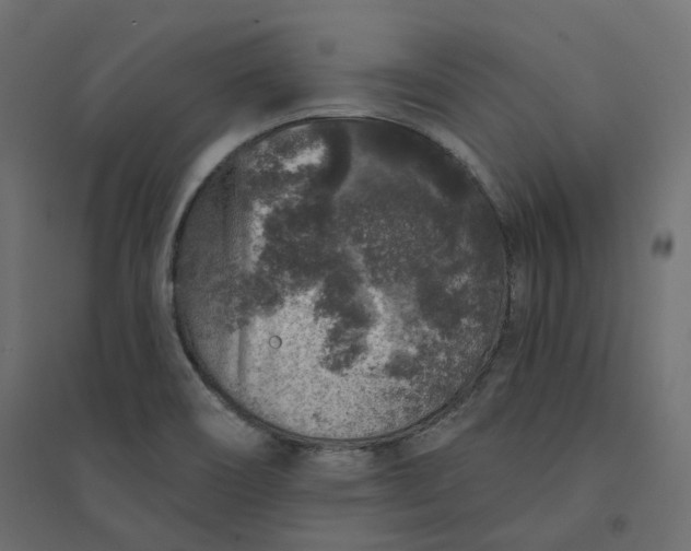 X0000094441466200711211445