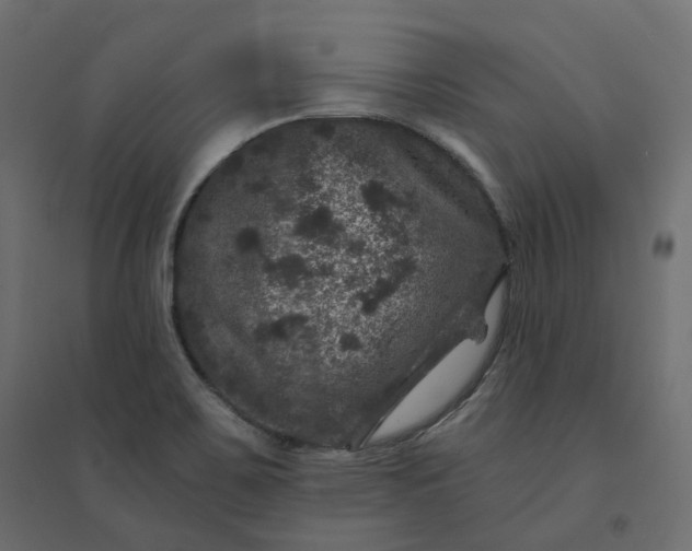 X0000094441467200711211445