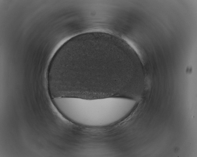 X0000094441468200711211445