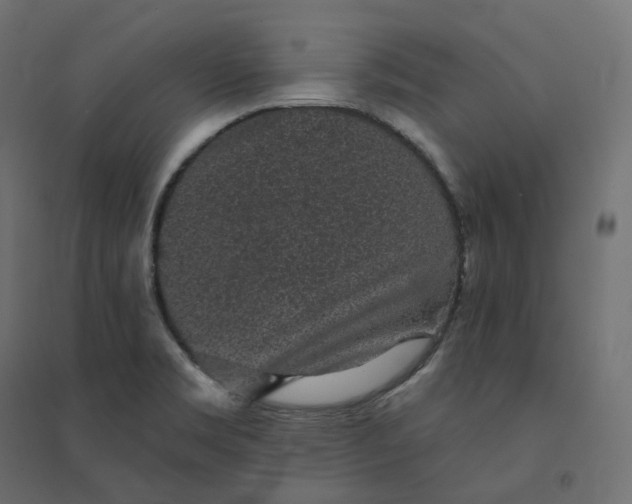 X0000094441469200711211445