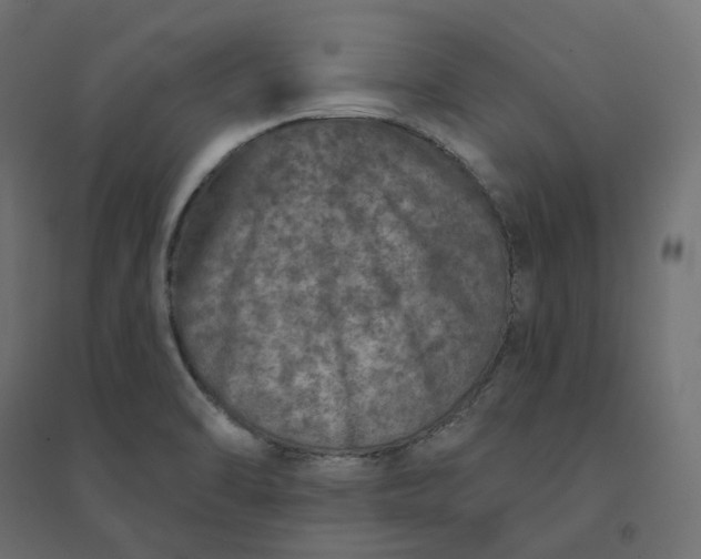 X0000094441470200711211445