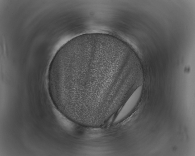 X0000094441471200711211445
