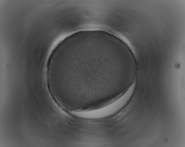 X0000094441472200711211445