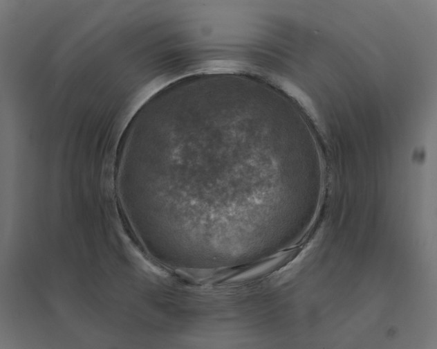 X0000094441473200711211445