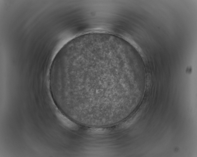 X0000094441474200711211445