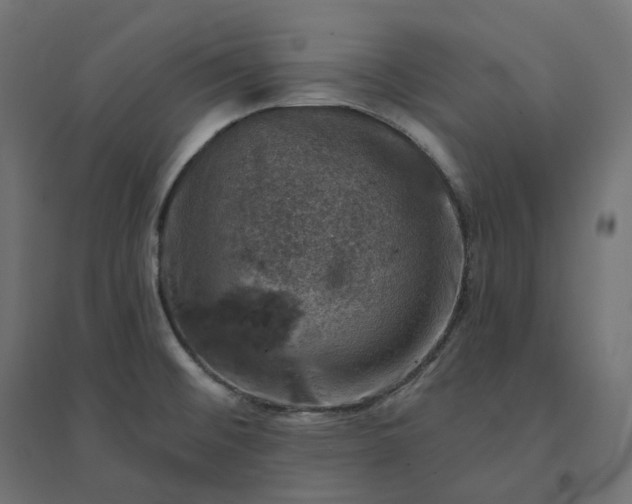 X0000094441476200711211445