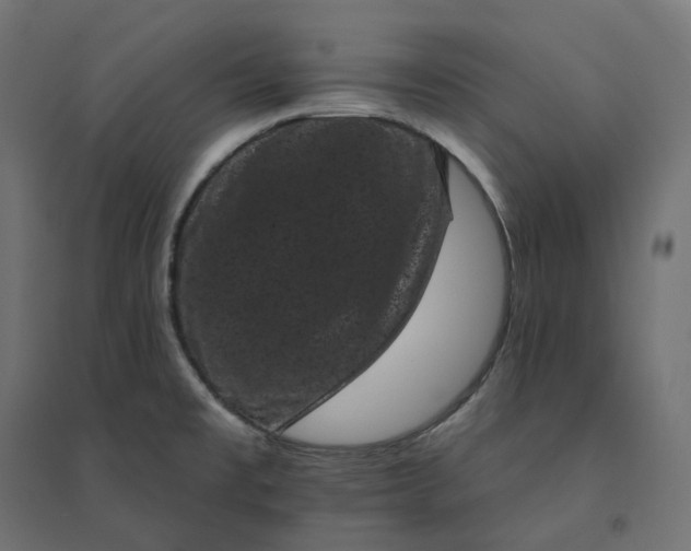 X0000094441477200711211445