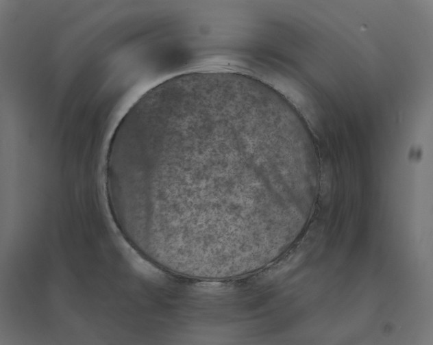 X0000094441478200711211445